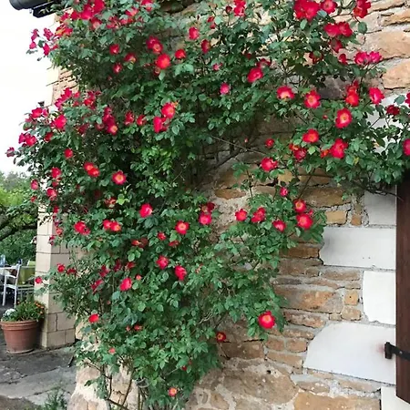 La Maison D Helene Masdelsol * Cambes (Lot)